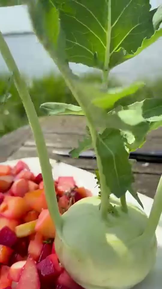 Organic Kohlrabi & Beetroot Salad