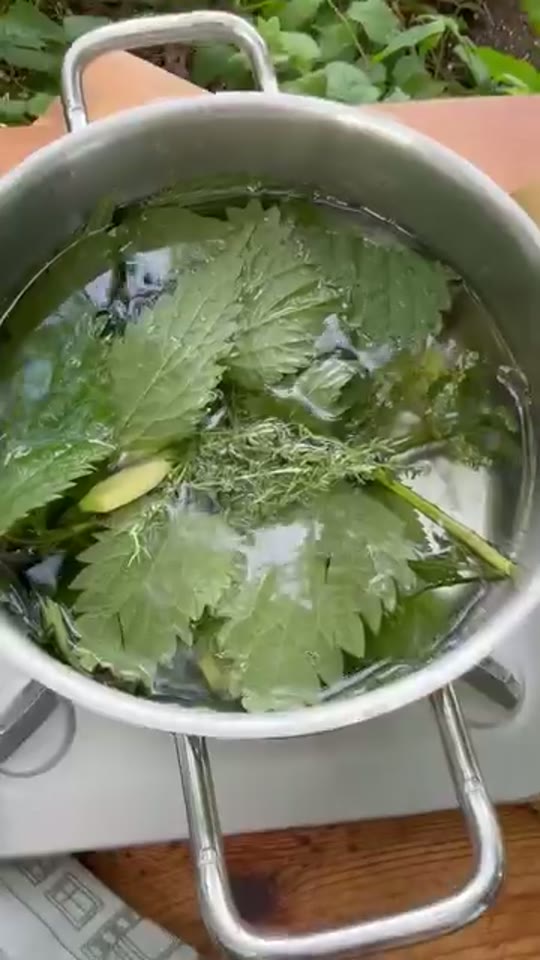Nettle Tea