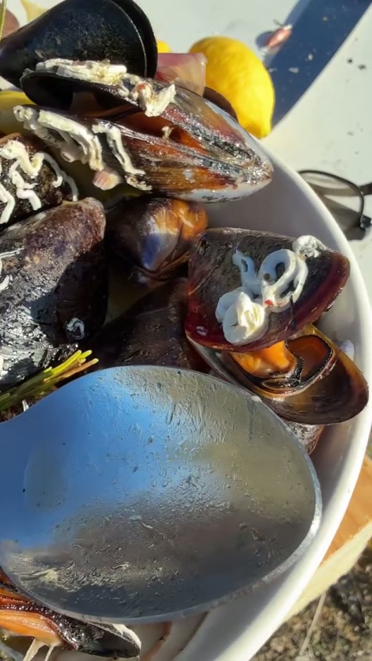 Wild Mussels with Lemon, Anchovy, and Garlic