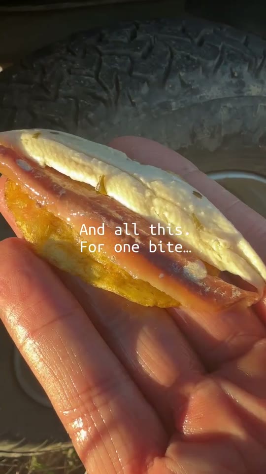 Anchovies & Boquerones on Natural Chips